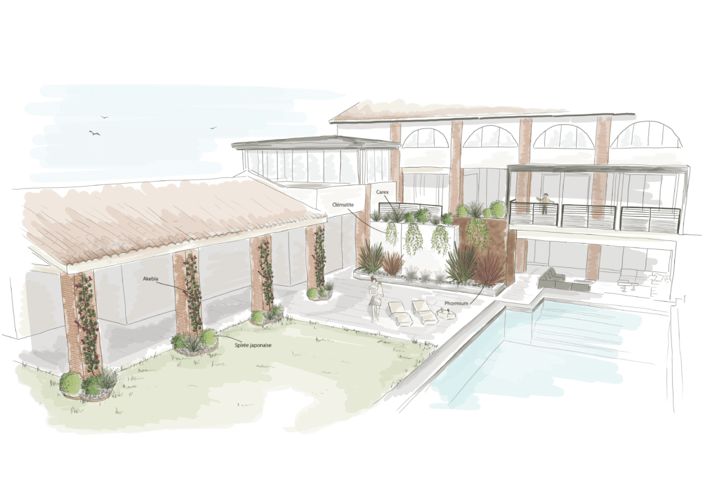 Plan d'aménagement paysager d'une terrasse avec piscine, montrant Akebia, Spirée japonaise, Clématite, Carex et Phormium.